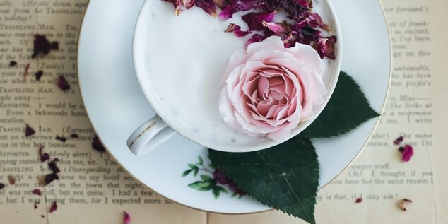 photo-1555529304-786d898483b5